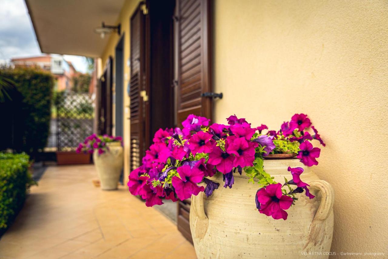 Casa Vacanze Etna Cocus Santa Venerina Bagian luar foto