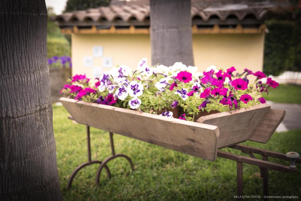 Casa Vacanze Etna Cocus Santa Venerina Bagian luar foto